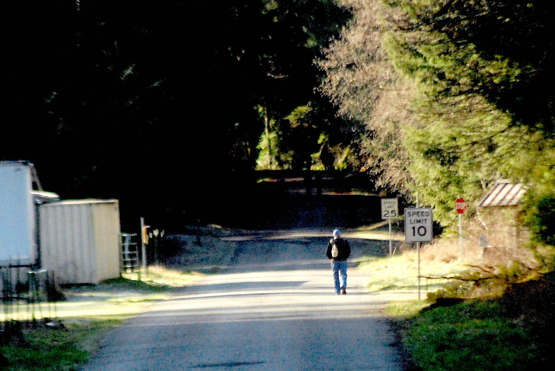A hiker walks up Olympic Hot Springs Road in the Elwha Valley in Olympic National Park on Saturday. The road remains closed to vehicles just inside the park boundary after portions of it were destroyed by the river in 2015. (Keith Thorpe/Peninsula Daily News)