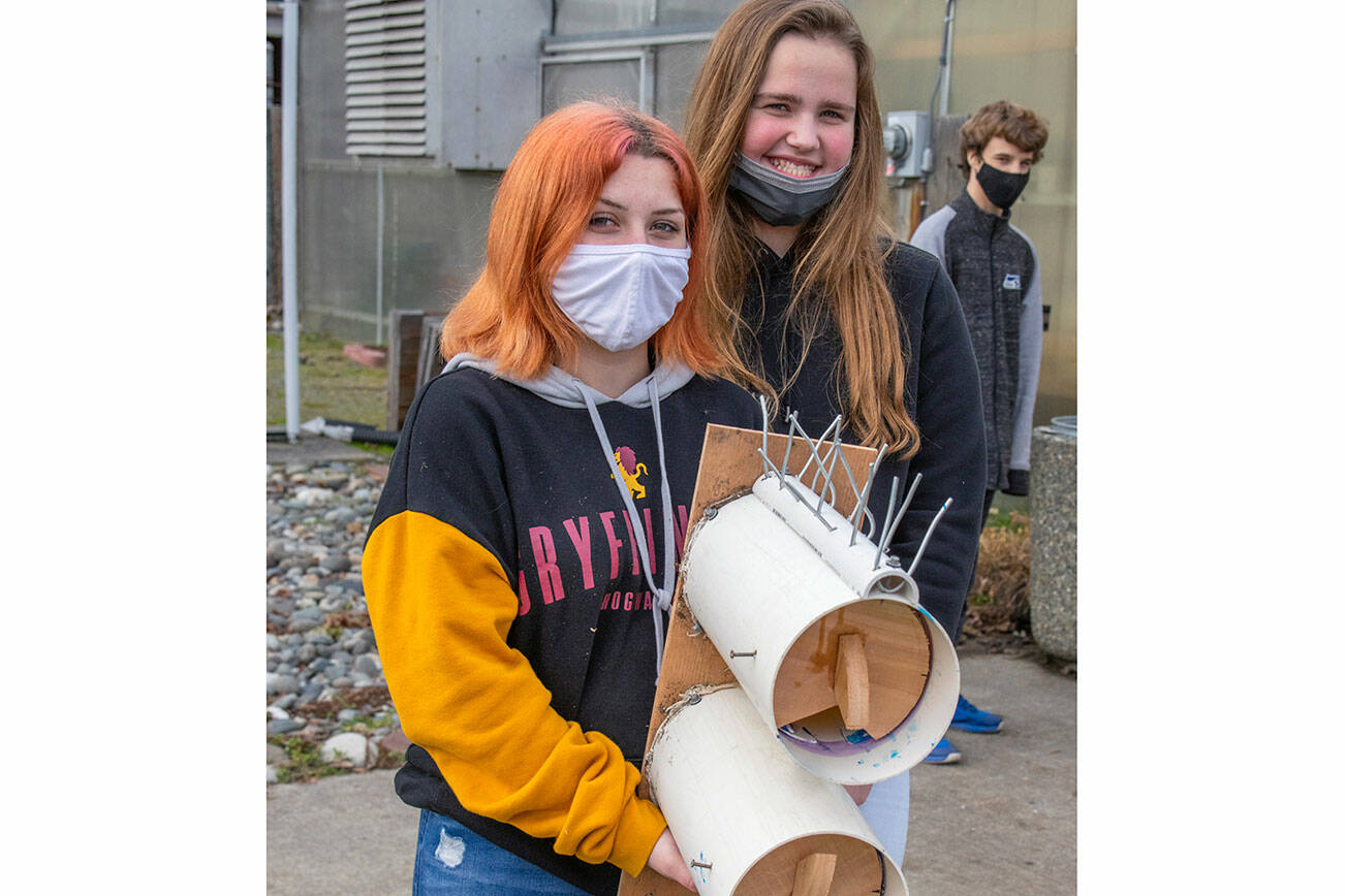 Emily Matthiessen/Olympic Peninsula News Group 

Shasta Larson and Addison Loewen, two of 52 Sequim High School students who built nesting boxes, hold up a finished piece with space for two Purple Martin families.