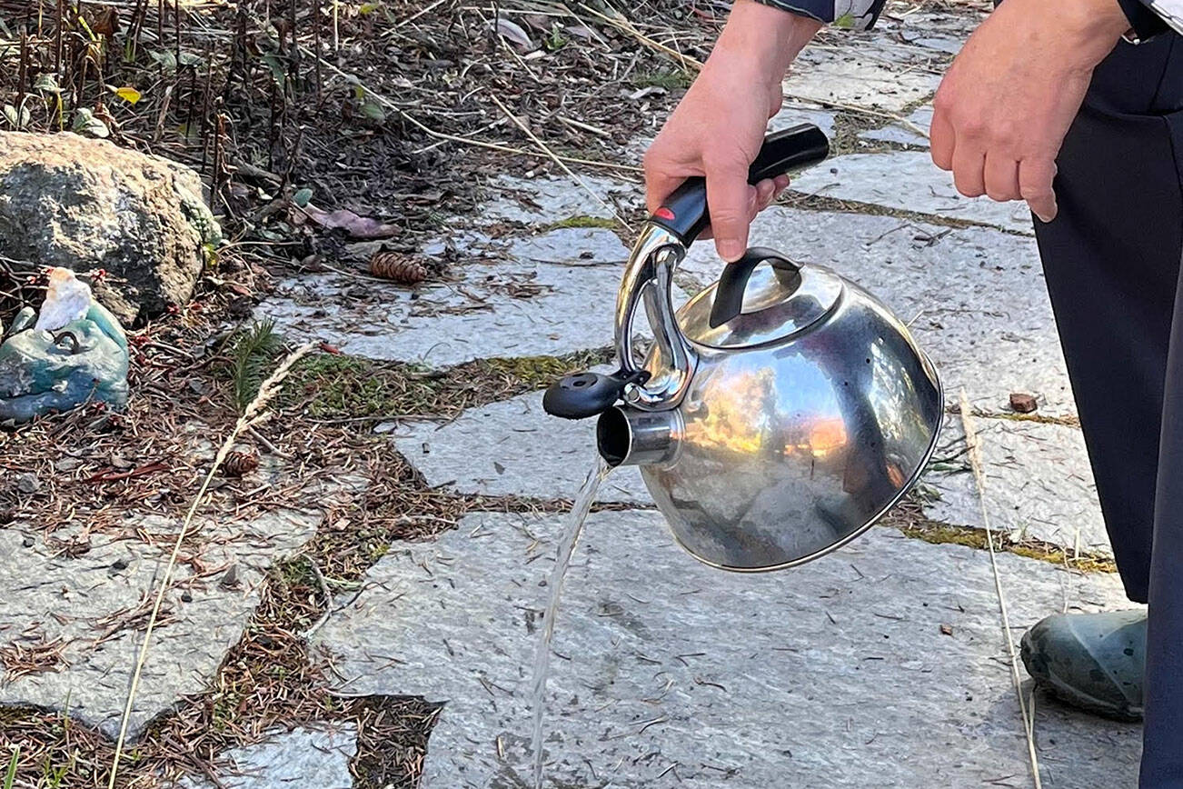 Jefferson County Master Gardener Christine Heyckewill discuss popular ways to kill weeds on Thursday. Photo by Michael Korinek