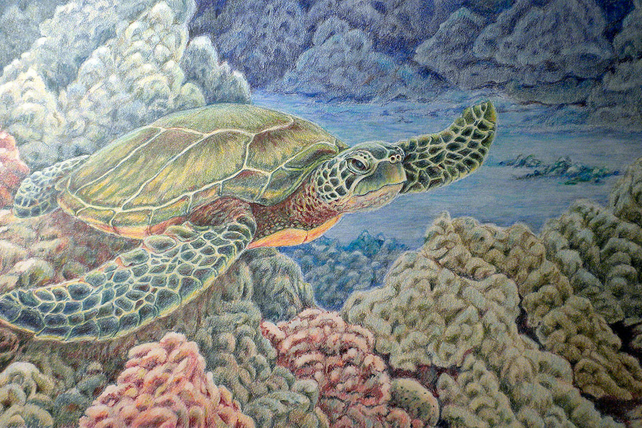 Gail McLain's colored pencil drawings are featured at Harbor Art Gallery this month.