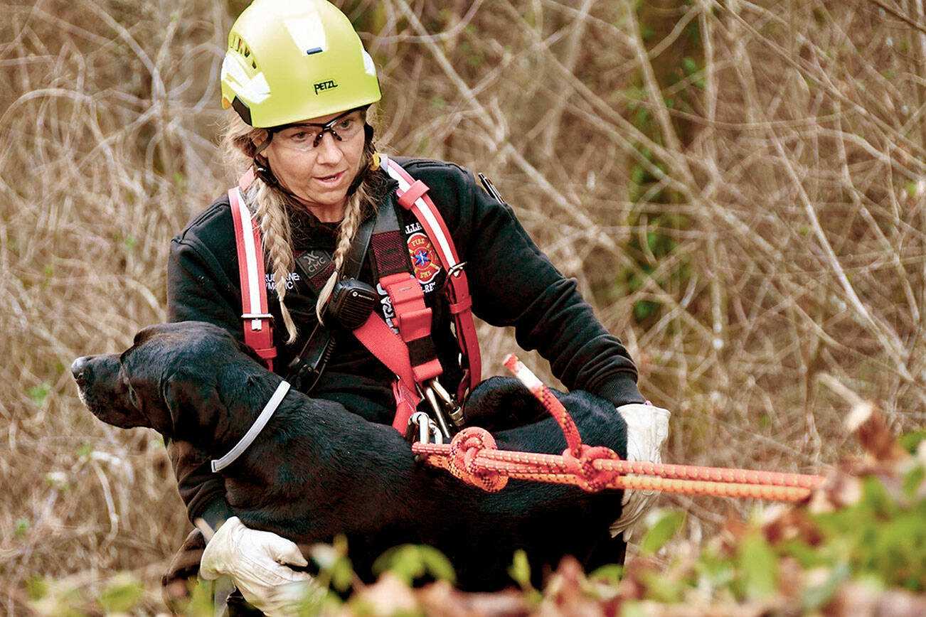 Clallam County Fire District 2 Firefighter/paramedic Margie Brueckner brings up a Black Labrador that had fallen over the side of an embankment at Lee’s Creek on Tuesday. She also retrieved the dog’s owner who had gone after the dog and then was unable to return. The owner had insisted the dog be carried to safety first. (Clallam County Fire District 2)