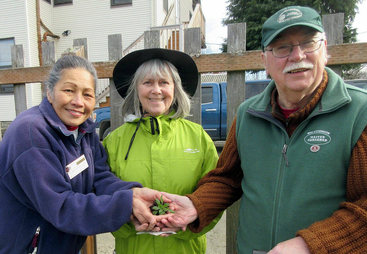 From left to right, Audreen Williams, Cindy Ericksen and Bob Cain will present “Getting Your Vegetable Garden Going” on Saturday.