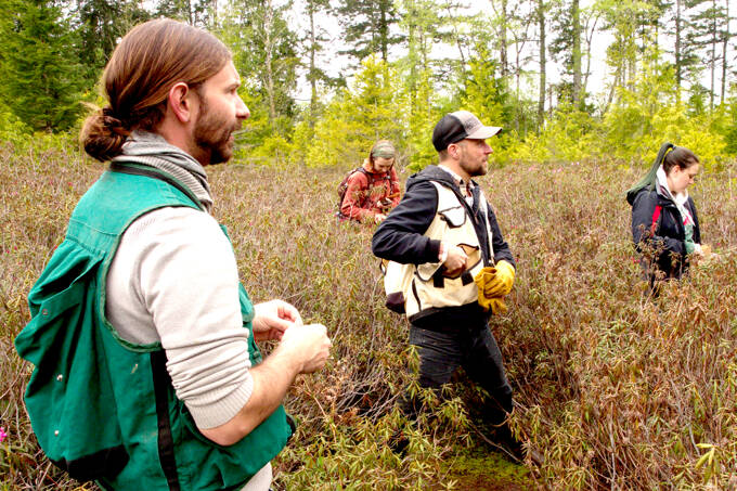 During the online Conservation Breakfast this Thursday, speakers — from left, David Brownell, Emma Brownell, Erik Kingfisher and Stormy Purser — will discuss how local tribes care for the land. The four are pictured last spring on Chimacum Ridge, one of the parcels the Jefferson Land Trust is working to preserve. (Tim Lawson/Jefferson Land Trust)
