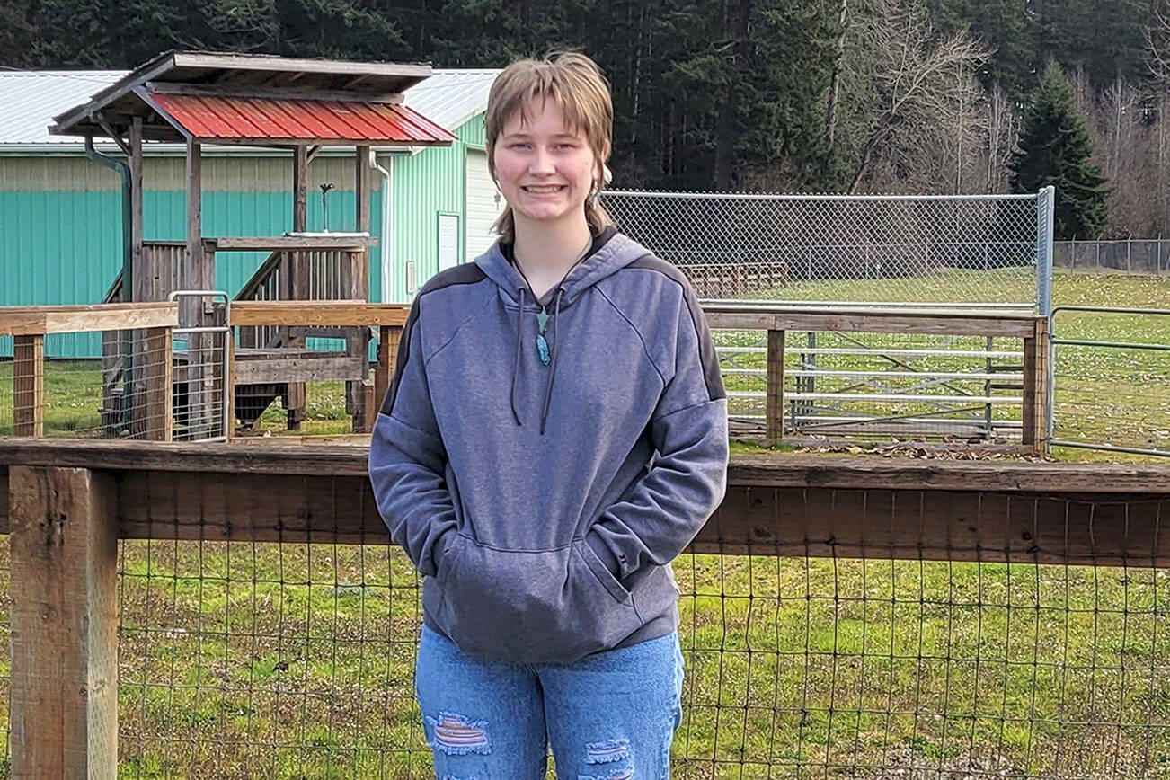 4-H Club member Fern Knobel wrote the theme for the Clallam County Fair, which will return this summer after being on hold for two years.