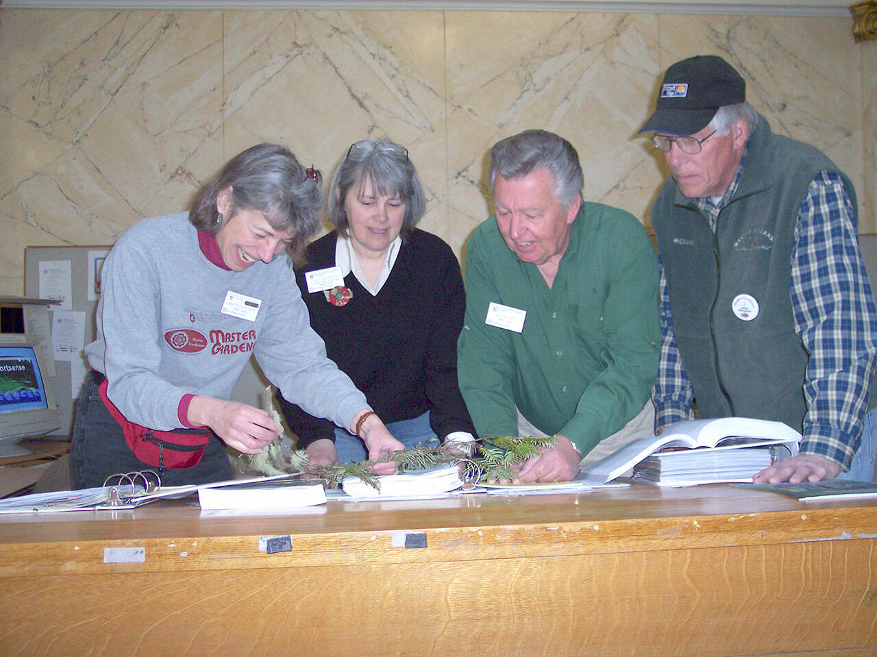 Clallam County master gardeners, from left to right, Jeanette Stehr-Green, Cindy Erickson, Nye Nelson and John Norgord discussing a problem with a hemlock tree during a plant clinic.
