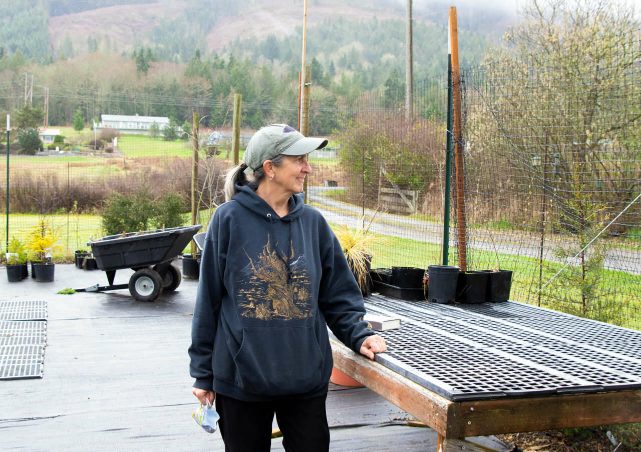 Lissa Bennett, owner of Friendly Natives Plant and Design, pauses in her work on a rainy day at the end of March in Happy Valley. (Emily Matthiessen/Olympic Peninsula News Group)