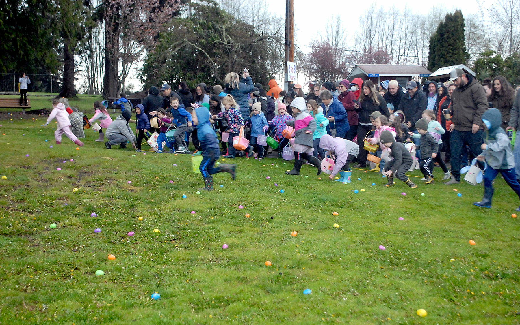 Children burst from the starting area in search if treat-filled plastic eggs during Saturday’s 44th annual KONP Easter Egg Hunt at the Clallam County Fairgrounds in Port Angeles. Hundreds of children and their parents took part in the event, which also featured a visit from the Easter Bunny and a drawing for prizes. (Keith Thorpe/Peninsula Daily News)