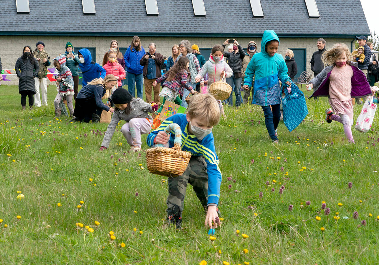 Grant Axling, 8, has his eyes set on a blue egg ready for plucking during an Easter egg hunt at Fairwinds Winery on Saturday. About 50 kids ranging in age from 2 to 8 took part in the first hunt on the winery grounds. (Steve Mullensky/for Peninsula Daily News)