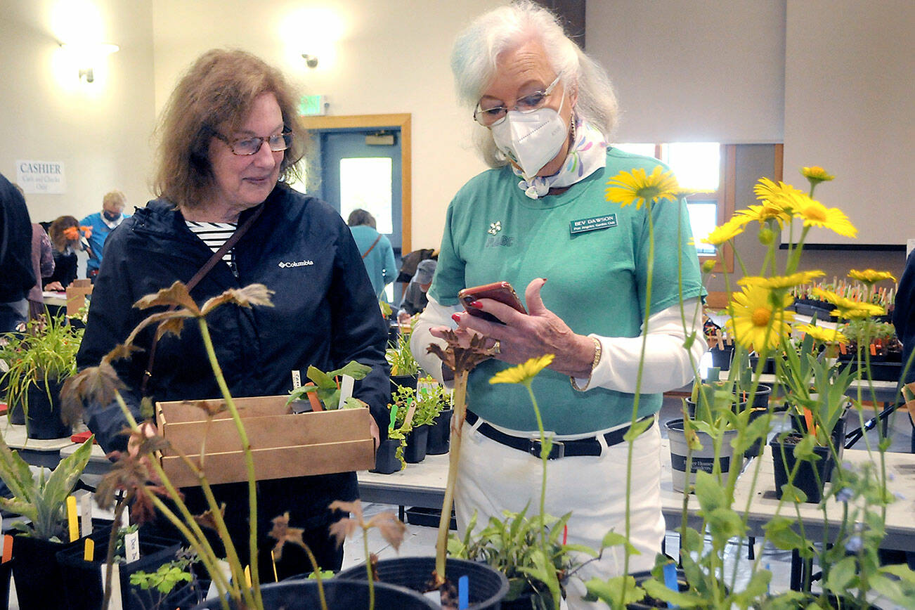 Keith Thorpe/Peninsula Daily News
Peggy DeYoung of Port Angeles, left, talks about plants with Port Angeles Garden Club member Bev Dawson during the group's annual plant sale on Saturday at the Port Angeles Senior Center. The sale featured perennials, annuals, succulents and vegetable starts and served as a fundraiser for garden club activities.