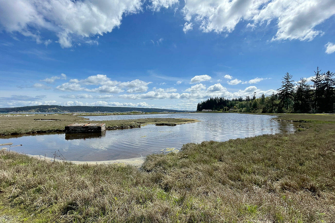 Paula Hunt/for Peninsula Daily News
Gardiner residents have filed a petition in Jefferson County to create a no shooting area tht would prohibit the discharge of firearms across and around the lagoon and wetlands managed by state Fish and Wildlife that is a popular gathering spot for migratory birds.