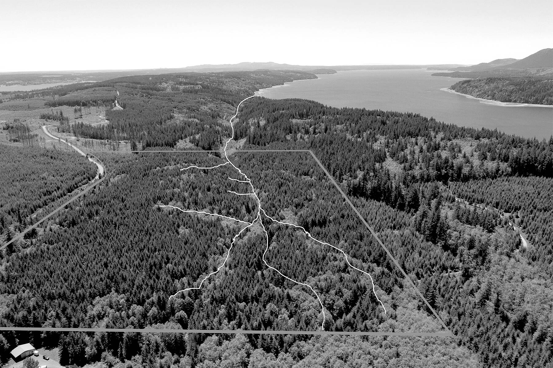 The Northwest Watershed Institute has purchased 91 acres from Rayonier to have the land preserved. A boundary line has been drawn over a photograph by John Gussman.