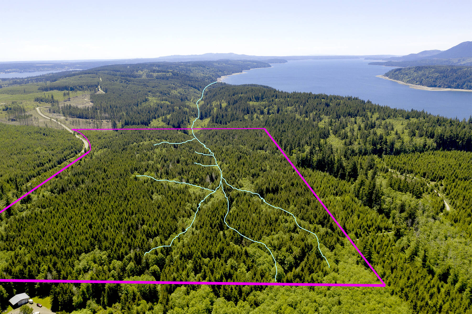 The Northwest Watershed Institute has purchased 91 acres from Rayonier to have the land preserved. A boundary line has been drawn over a photograph by John Gussman.
