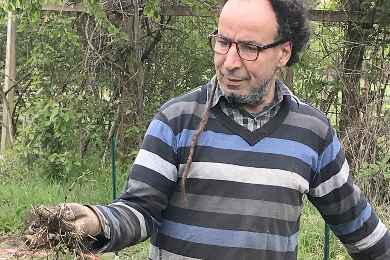 Master weeder Mehdi demonstrate weeding techniques this weekend.