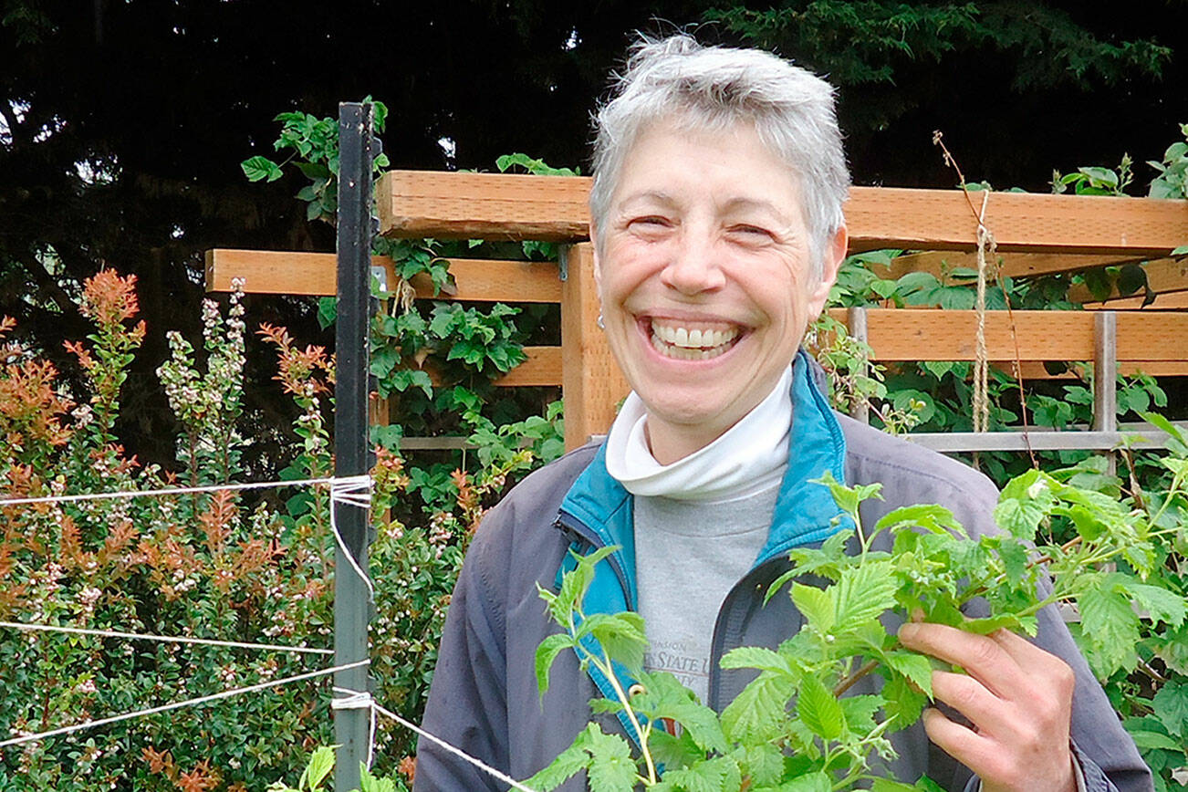 Jeanette Stehr-Green