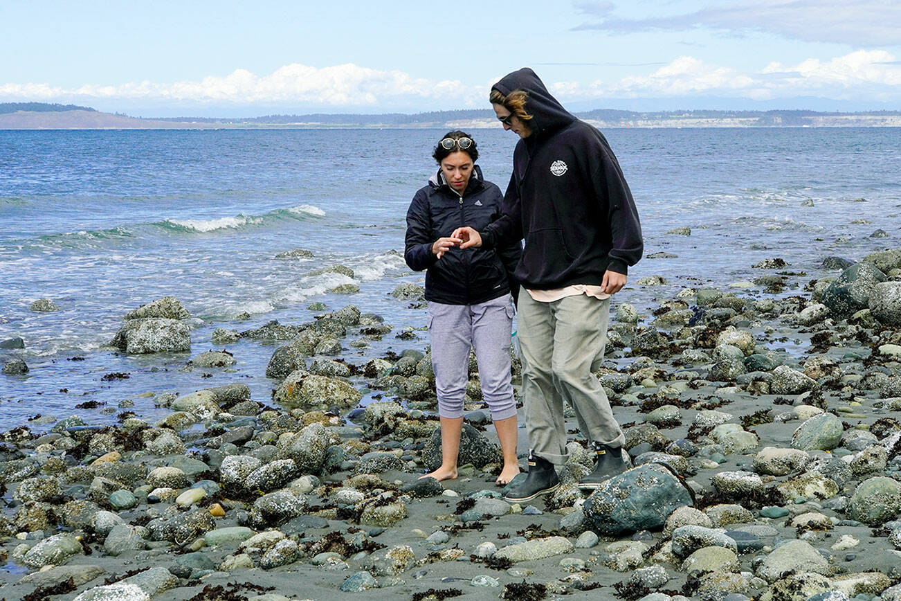 Maren Gillette and Austin Tyree, on a road trip from Wenatchee, examine a piece of beach glass they picked up on the beach at North Beach in Port Townsend on Wednesday. (Steve Mullensky/for Peninsula Daily News)
