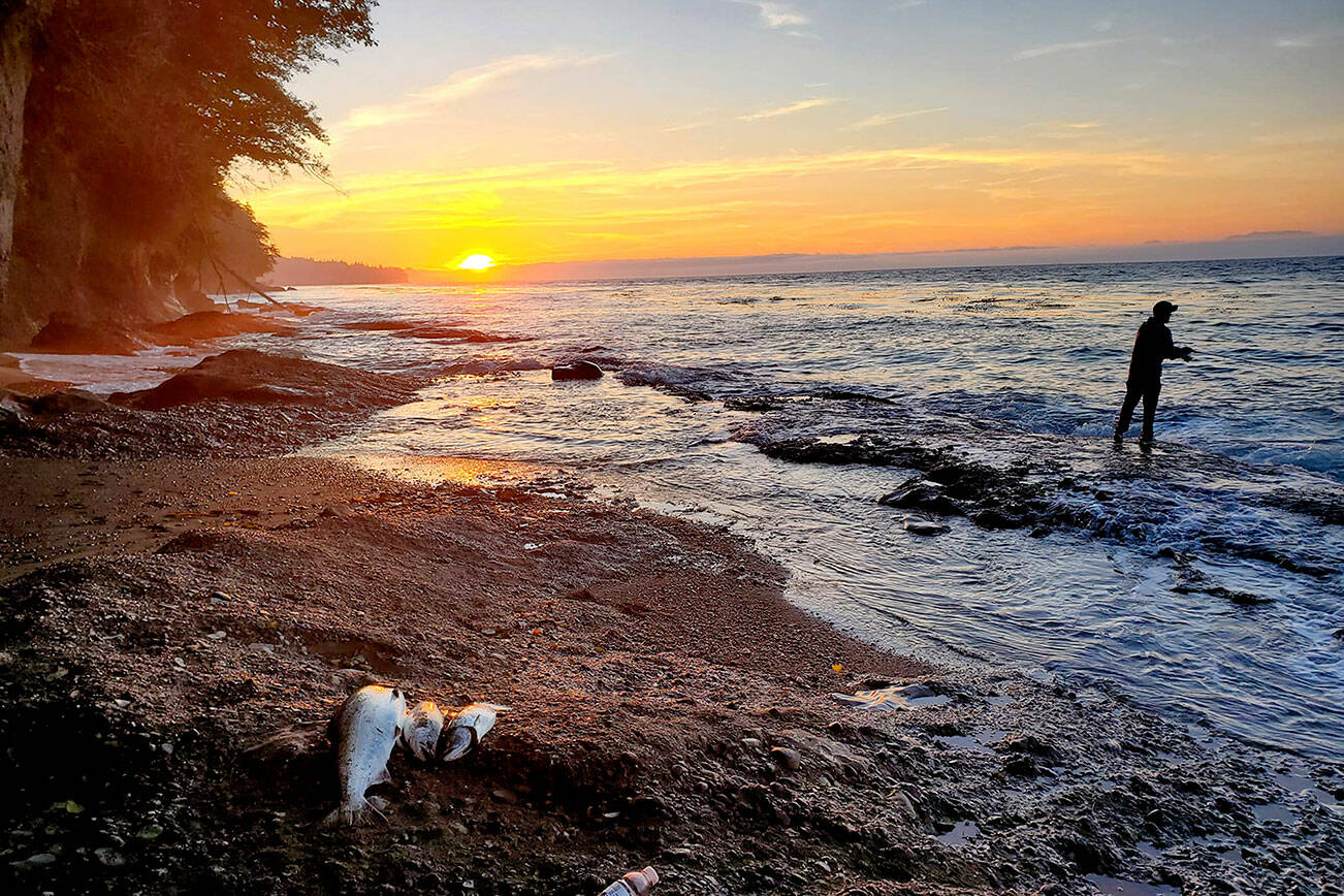 Clallam Bay angler Brandon Rodriguez found success while shore fishing for king and coho in Marine Area 5 along the Strait of Juan de Fuca.
