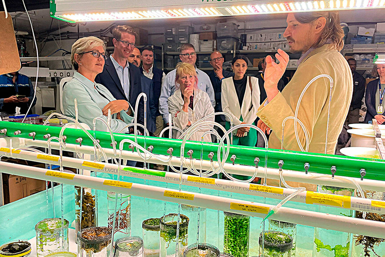 Matthew Nash/Olympic Peninsula News Group

Scott Edmundson, a PNNL-Sequim research botanist, speaks at PNNL-Sequim’s seawater propagation station with, from left, Jennifer Granholm, U.S. Secretary of Energy, U.S. representative Derek Kilmer, Geri Richmond, DOE’s undersecretary for Science and Innovation, and others about PNNL-Sequim’s efforts to harness essential minerals from the ocean and plant life.