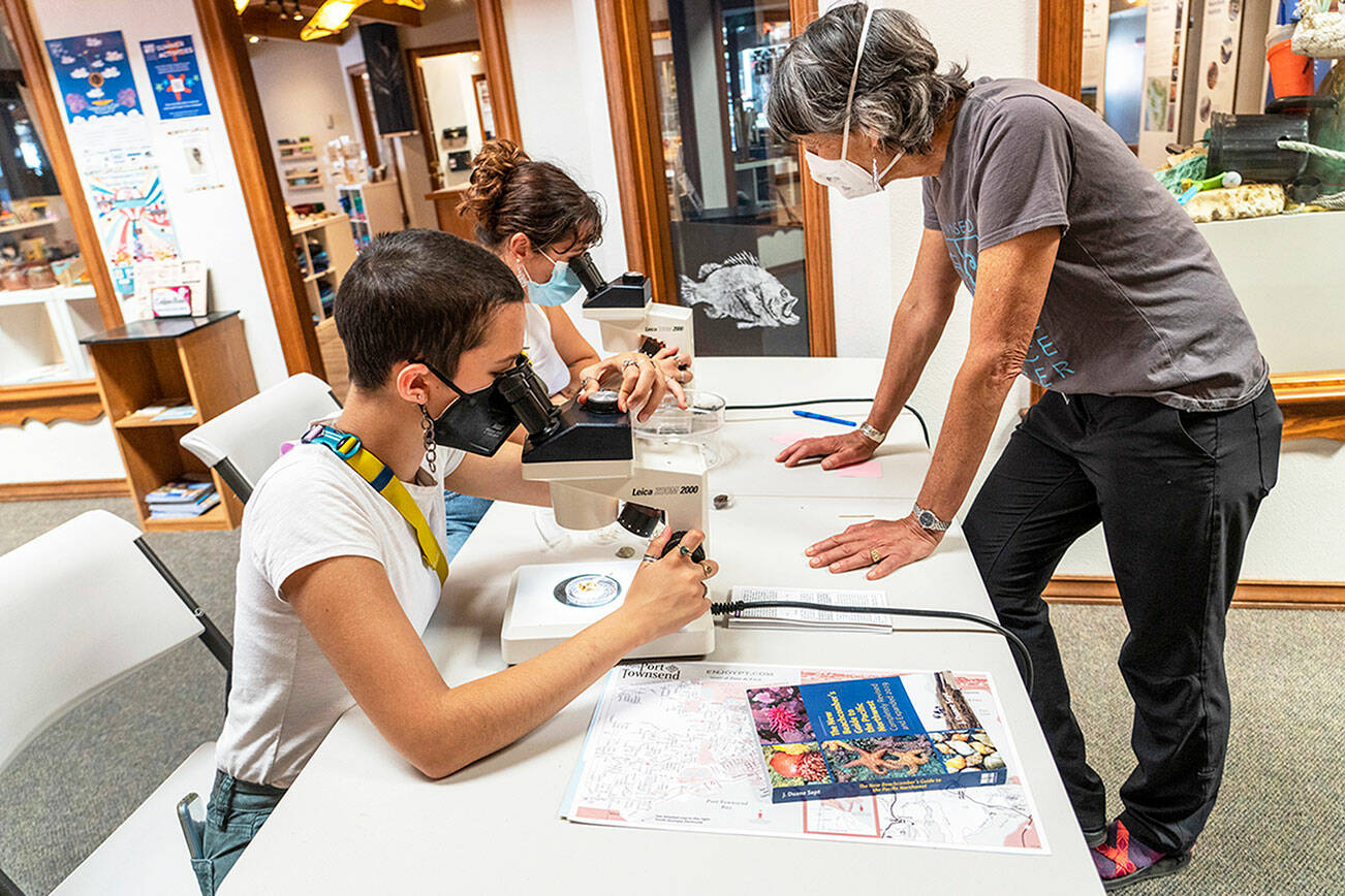 Steve Mullensky/for Peninsula Daily News

Taking a closer look at marine specimens are sisters Anna, foreground, and Mimi Molotsky, from Port Towsennd, during the Marine Science Center’s Microscope Friday at the welcome center located at 1001 Water Street in Port Townsend. Volunteer Toni Davison, also from Port Townsend, answers any questions that may arise.