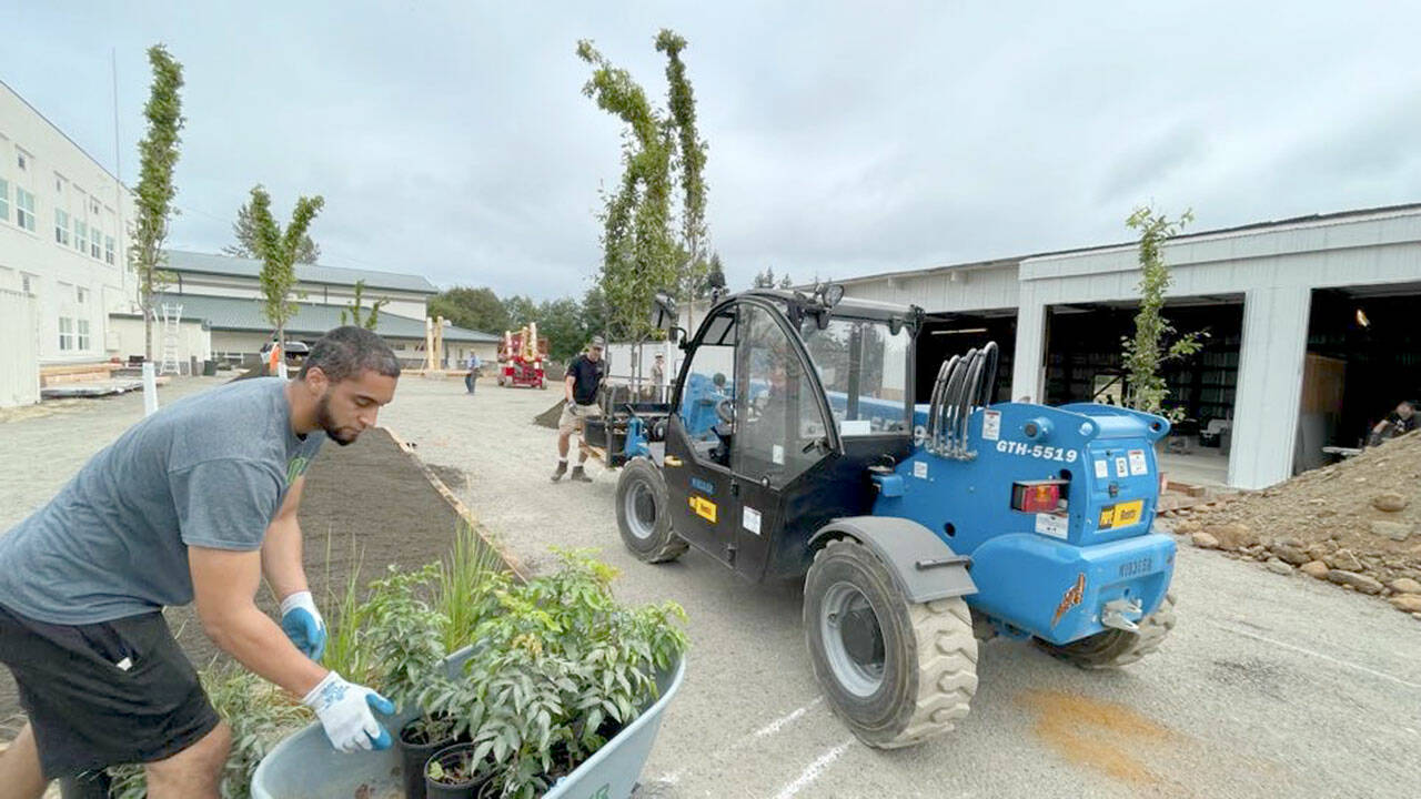 Sterling Bradby lays out plants to line a new walkway. (Steve Murakami)
