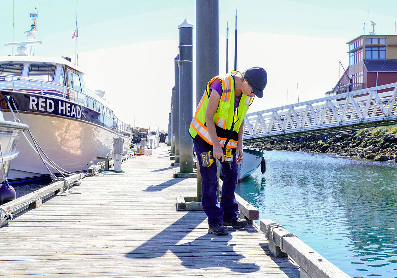 Laura Snodgrass of Port Townsend, an employee of the Port of Port Townsend, uses the sole of her boot to feel for protruding screw heads that might catch on anyone’s foot and cause an accident. Snodgrass was working to replace or tighten screws as necessary in advance of this weekend’s Wooden Boat Festival. (Steve Mullensky/for Peninsula Daily News)