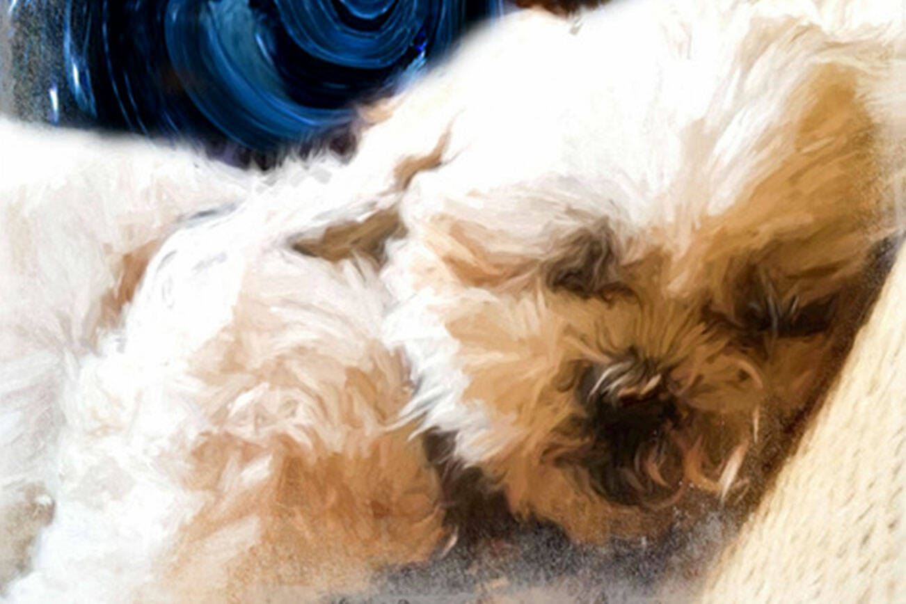 AVA by Marilynn Evans is part of the Bow Wow! exhibit.