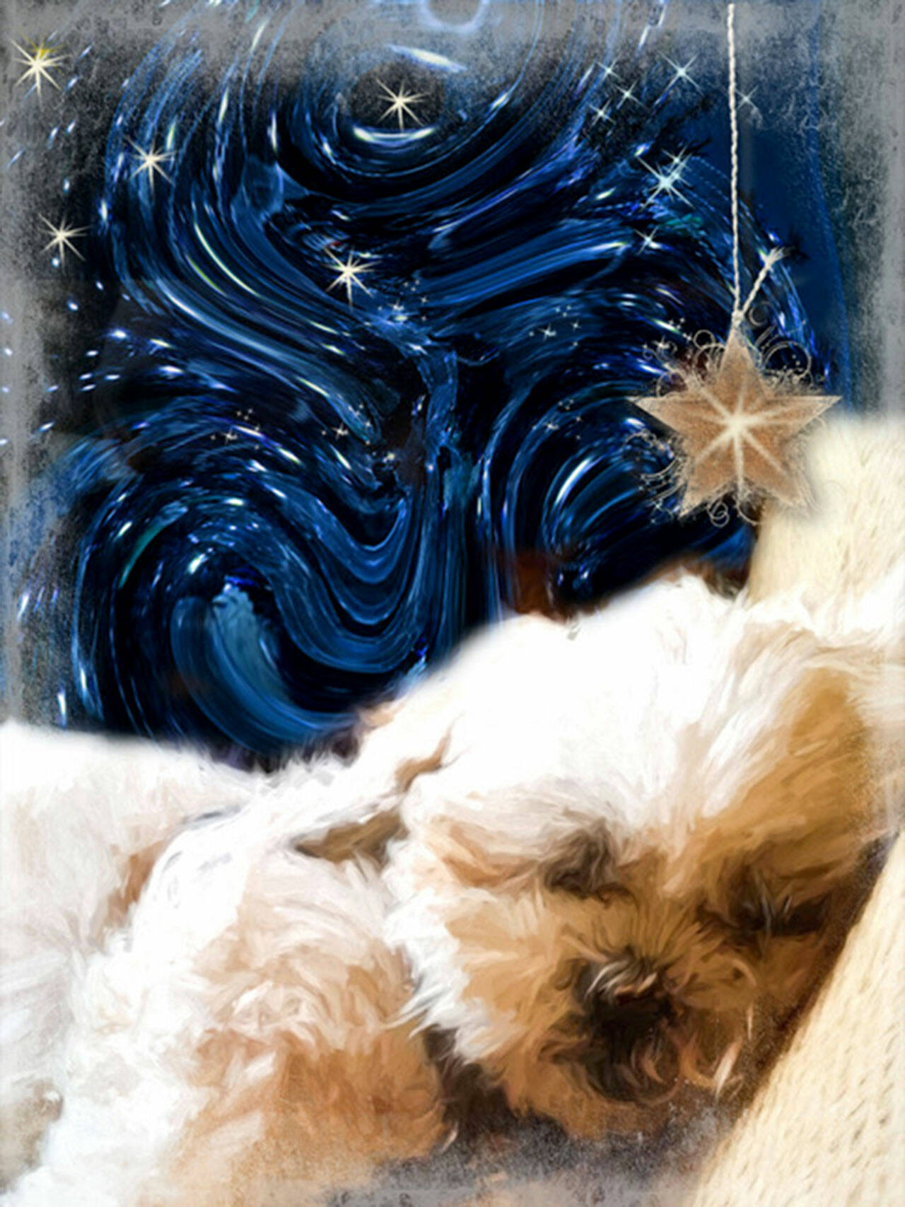 AVA by Marilynn Evans is part of the Bow Wow! exhibit.