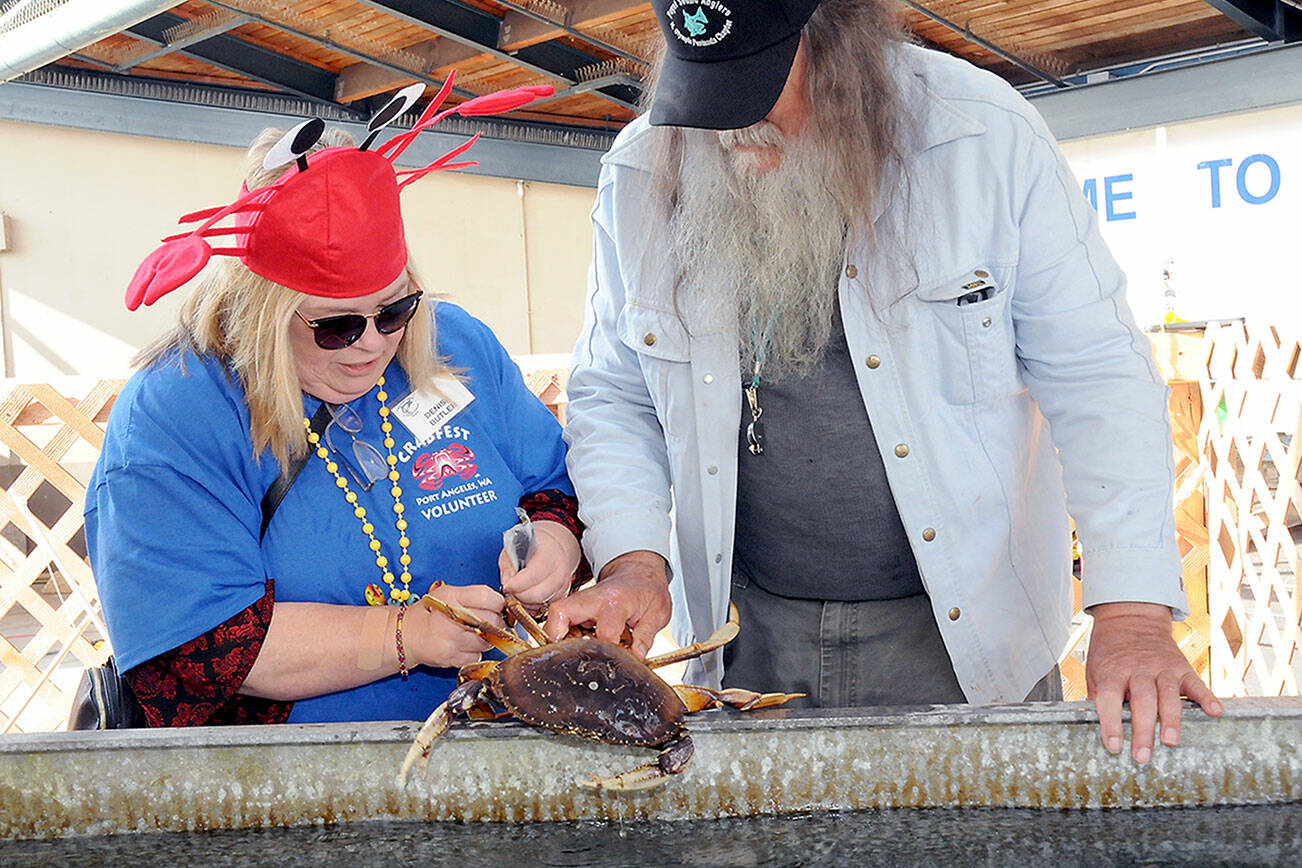 KEITH THORPE/PENINSULA DAILY NEWS 

Denise Butler, left, and Karl Pohlod, both members of the North Olympic Peninsula Chapter of Puget Sound Anglers, on Friday tie plastic markers to a crab that will be eligible for catch during the Grab-A-Crab Derby, a featured activity of the Dungeness Crab and Seafood Festival on the Port Angeles waterfront. Twenty tagged crabs were seeded into a pair of tanks, allowing the catchers a $20 discount on a crab dinner or half off on a takeout crab from the derby, which is also set for today from 10 a.m. to 6 p.m. The festival runs through Sunday. For information, see crabfestival.org.