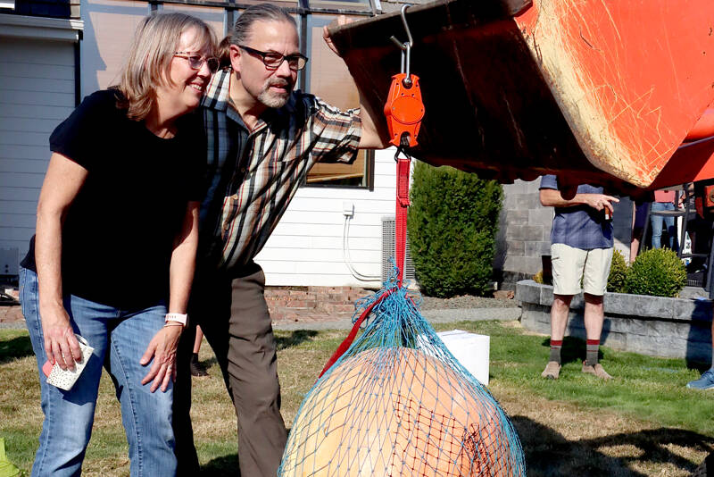 Dawna Krause and her husband Loren find that Dawna’s winning giant pumpkin measured 169 pounds on a spring scale from a small tractor scoop. Dawna was a first-time winner in the giant pumpkin contest conducted each year at the Evergreen Country Estates neighborhood on Goss Road south of Port Angeles. Hers was the only pumpkin over 100 pounds from the dozen or so entries. (Dave Logan/for Peninsula Daily News)
