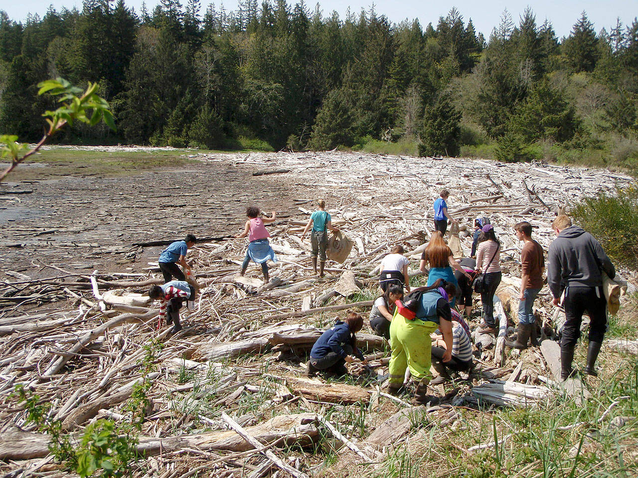 Volunteers clean up marine trash at the head of Tarboo Bay.