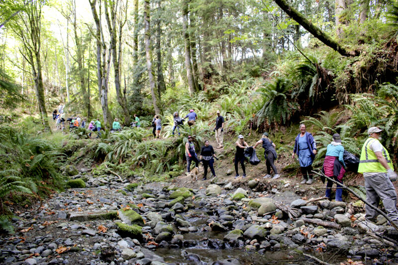 Volunteers with 4PA, a local organization dedicated to cleaning up Port Angeles and building support for homeless members of the community, created a human chain to haul out more than 5,000 pounds of trash from upper Peabody Creek earlier this year when vehicles could not negotiate the hillside. It took the 50 men and women about four hours to complete the task. (Makayla DeScala/4PA)