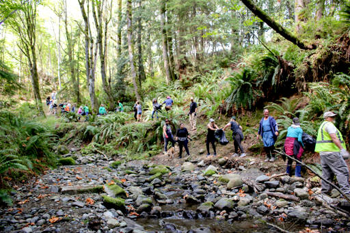 Volunteers with 4PA, a local organization dedicated to cleaning up Port Angeles and building support for homeless members of the community, created a human chain to haul out more than 5,000 pounds of trash from upper Peabody Creek earlier this year when vehicles could not negotiate the hillside. It took the 50 men and women about four hours to complete the task. (Makayla DeScala/4PA)