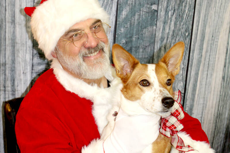Santa, Christopher Thomsen, holds Lizzie on Sunday at Airport Garden and Nursery in Port Angeles as part of a fundraiser for the Peninsula Friends of Animals. More than a dozen dogs, some more wiggly than others, sat in Santa’s lap for a photo. (Dave Logan/for Peninsula Daily News)