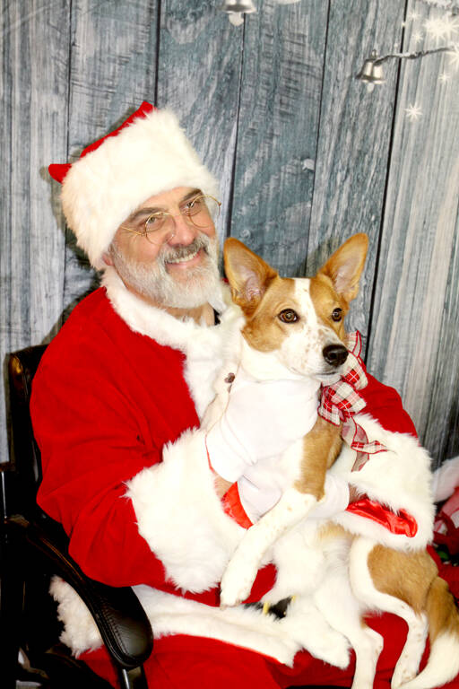 Santa, Christopher Thomsen, holds Lizzie on Sunday at Airport Garden and Nursery in Port Angeles as part of a fundraiser for the Peninsula Friends of Animals. More than a dozen dogs, some more wiggly than others, sat in Santa’s lap for a photo. (Dave Logan/for Peninsula Daily News)