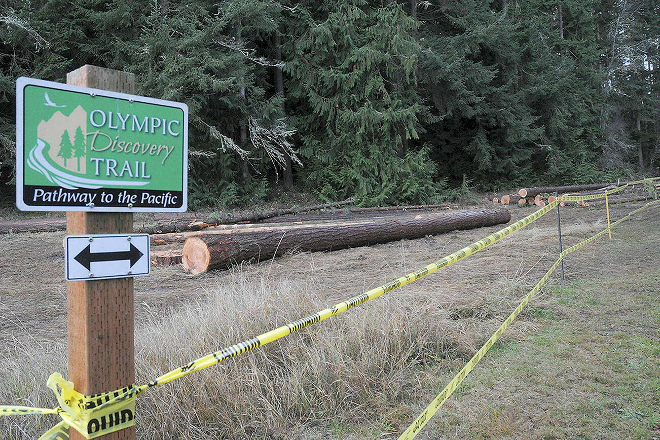 Blown-down trees that have been cut and removed from nearby forested areas of Robin Hill County Park await removal from a staging area next to the Olympic Discovery Trail within the park between Sequim and Port Angeles. (Keith Thorpe/Peninsula Daily News)