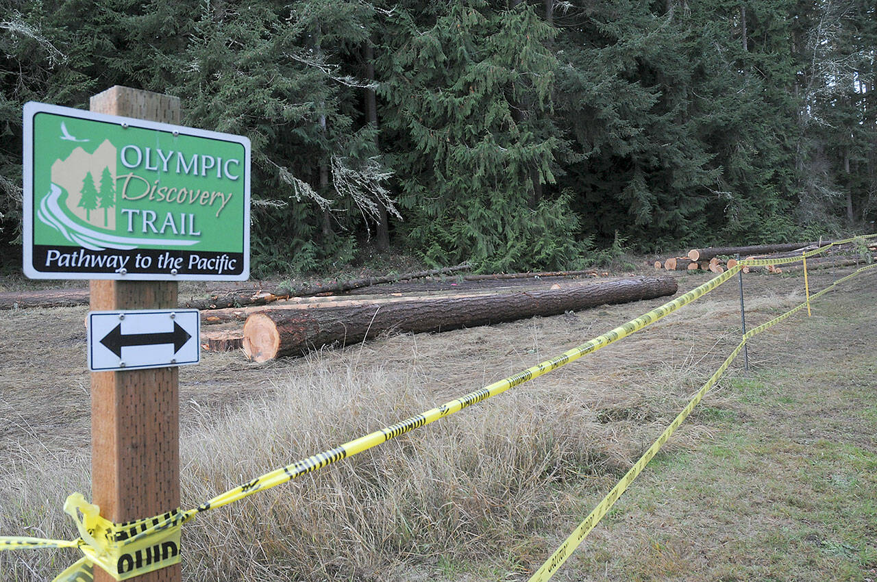 Blown-down trees that have been cut and removed from nearby forested areas of Robin Hill County Park await removal from a staging area next to the Olympic Discovery Trail within the park between Sequim and Port Angeles. (Keith Thorpe/Peninsula Daily News)