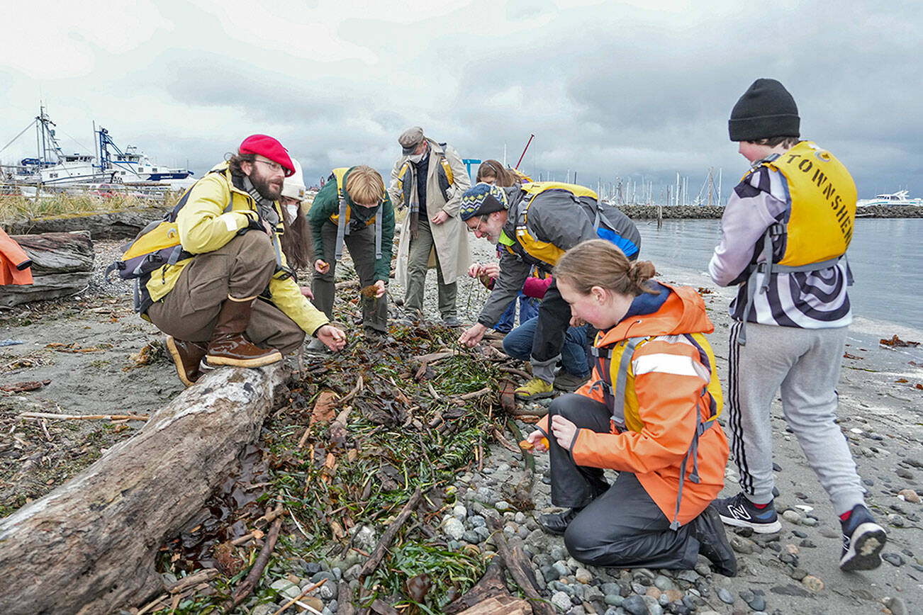 Steve Mullensky/for Peninsula Daily News

Sean Bunting, red hat, and David Molotsky, blue hat, both teachers in the Ocean K-12 program, a partnership program between the Northwest Maritime Center and the Port Townsend School District, instructs the Bravo Team class in the benefits of eel grass during a session at the beach on eh Port Townsend Boat Haven on Thursday. The team would normally be out in a long boat but had to stay ashore because of small craft warnings.