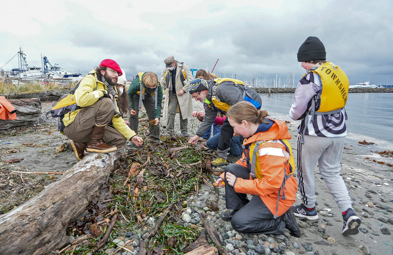 Sean Bunting, red hat, and David Molotsky, blue hat, both teachers in the Ocean K-12 program, a partnership program between the Northwest Maritime Center and the Port Townsend School District, instructs the Bravo Team class in the benefits of eel grass during a session at the beach at Port Townsend Boat Haven on Thursday. The team would normally be out in a long boat but had to stay ashore because of small craft warnings. (Steve Mullensky/for Peninsula Daily News)