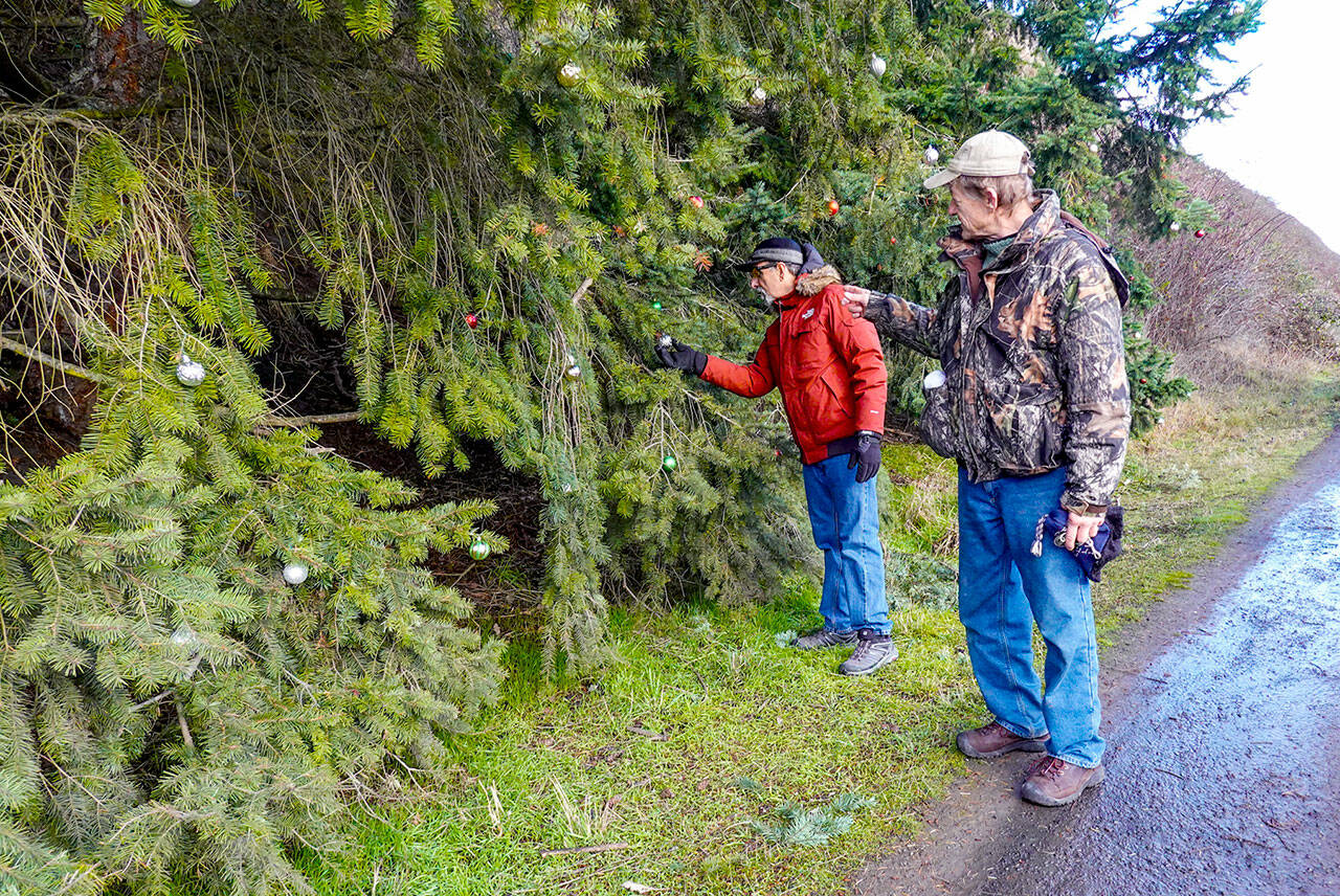 Tony Genovese, left, of Port Townsend and Dave Rojcewicz of Petersberg, Alaska, stop to admire the Christmas decorations on a fir tree along the Larry Scott Trail. (Steve Mullensky/for Peninsula Daily News)