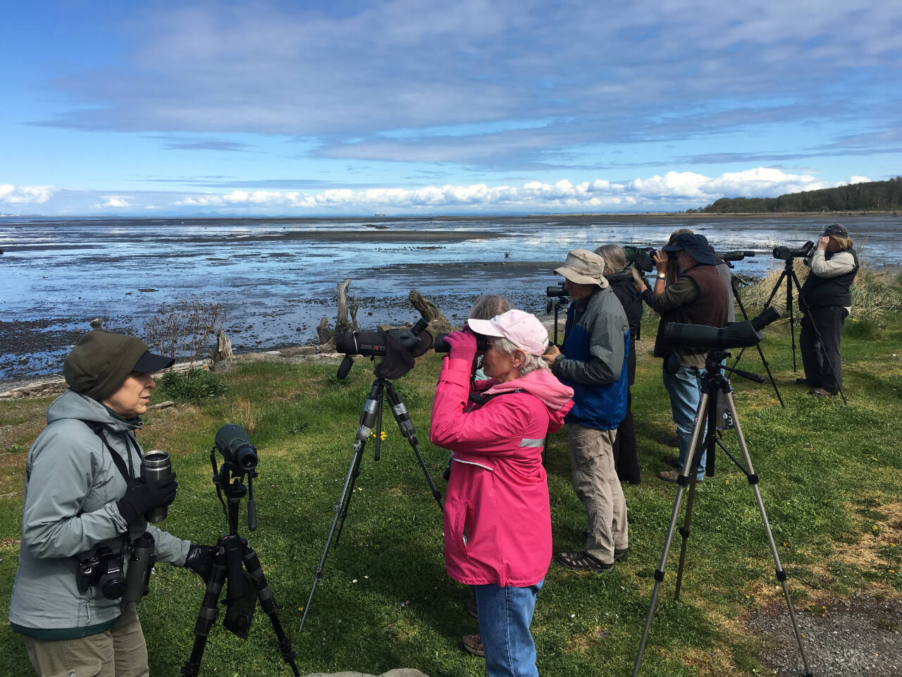 Attendees of a recent Olympic BirdFest enjoy a field trip at Dungeness Landing. Registration for the 2023 event is open at OlympicBirdFest.org. (Photo courtesy of Dungeness River Nature Center)