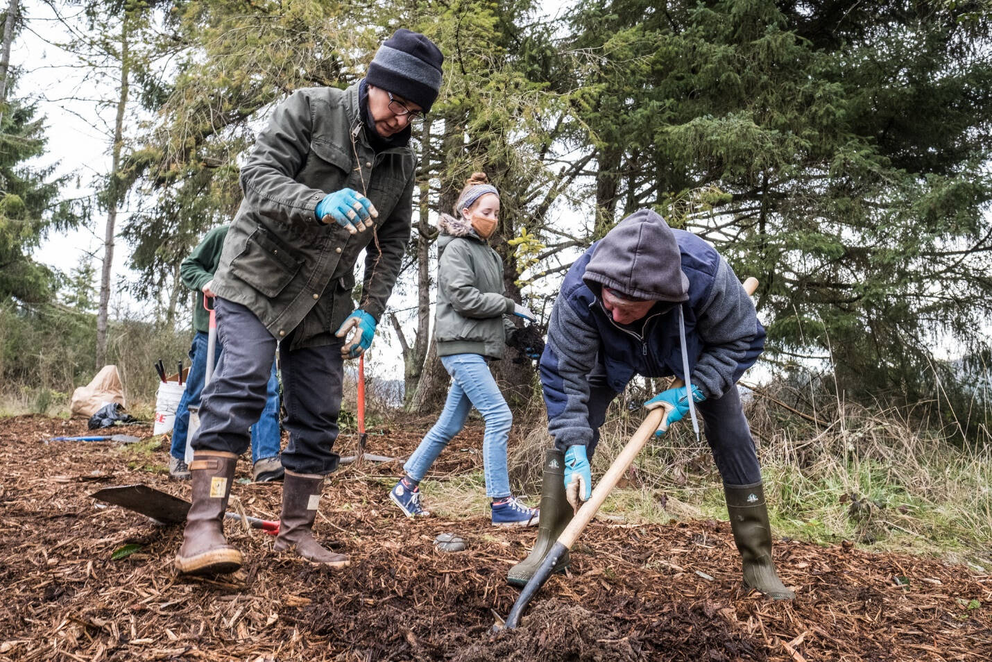 Volunteers help plant trees at a North Olympic Salmon Coalition work party near Discovery Bay. (Photo courtesy of Charles Espey)