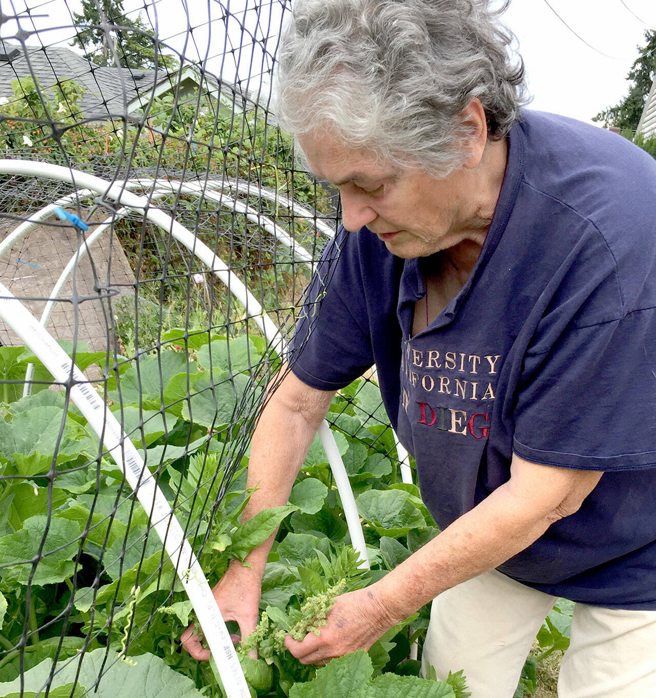 Muriel Nesbitt will present “How Climate Change is Robbing You (and Your Garden) of Nutrients” from 10 a.m. to noon Saturday.