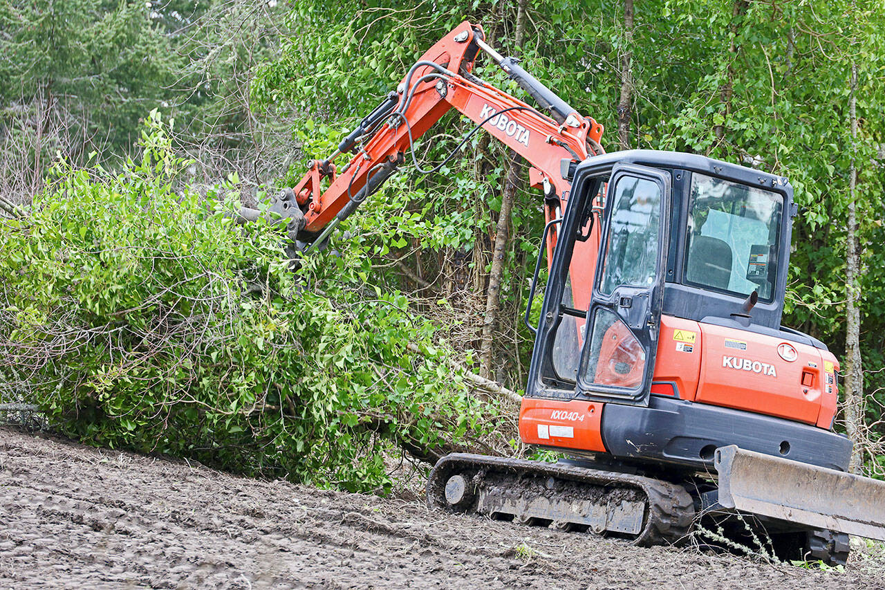 NW Landworks personnel removed large areas of invasive plants in Fort Worden. (Friends of Fort Worden)