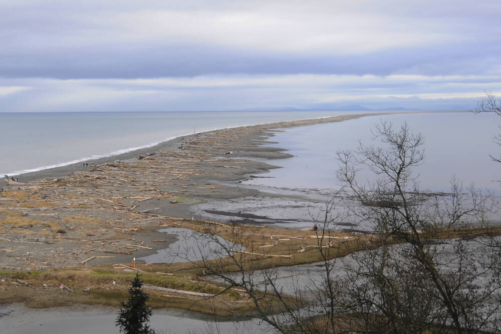 Michael Dashiell / Olympic Peninsula News Group
 New volunteer training to assist visitors and staff at the Dungeness Wildlife Refuge is set for Thursday on Zoom.