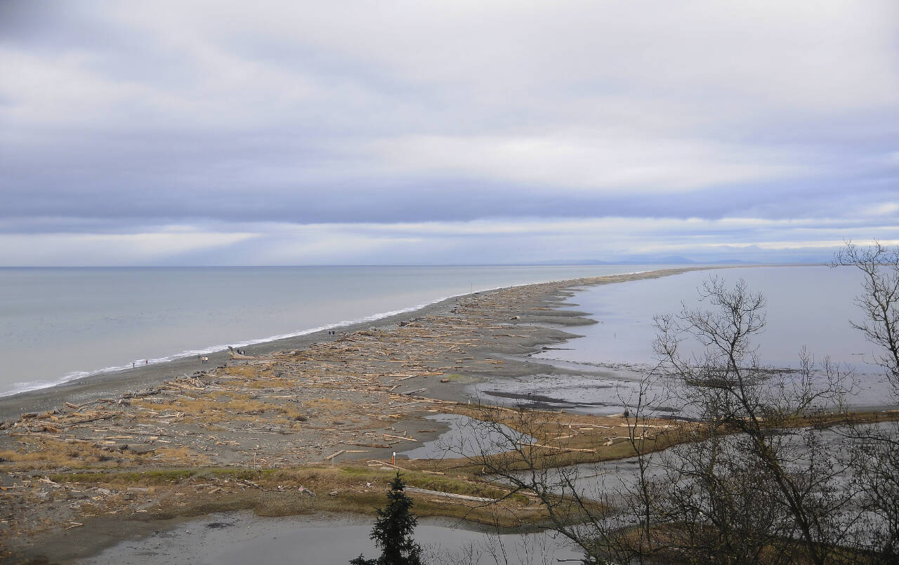 Sequim Gazette file photo by Michael Dashiell / New volunteer training to assist visitors and staff at the Dungeness Wildlife Refuge is set for April 6 on Zoom.