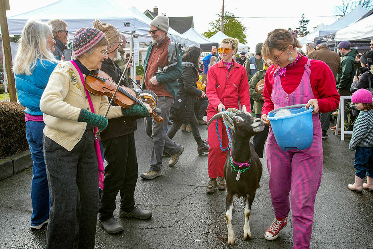 Lydia Valdopolis, front, and Julia Thurston from Ground Control Goats in Port Townsend lead a parade of goats around the market on Saturday, the opening day of the 31st Port Townsend Farmers’ Market. More than 70 vendors will offer food and crafts each Saturday from 9 a.m. to 2 p.m. at Tyler and Lawrence streets in Port Townsend through Oct. 28. (Steve Mullensky/for Peninsula Daily News)