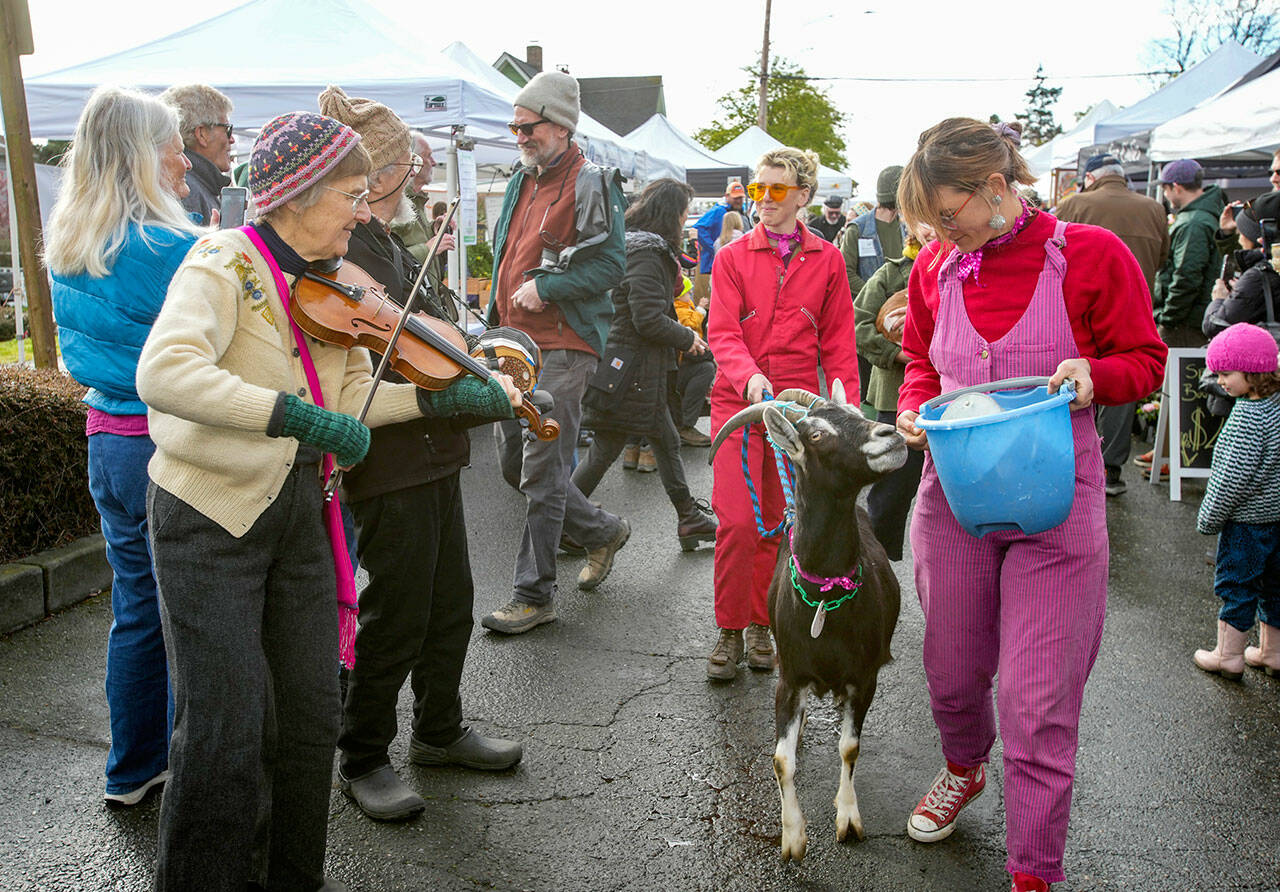Lydia Valdopolis, front, and Julia Thurston from Ground Control Goats in Port Townsend lead a parade of goats around the market on Saturday, the opening day of the 31st Port Townsend Farmers’ Market. More than 70 vendors will offer food and crafts each Saturday from 9 a.m. to 2 p.m. at Tyler and Lawrence streets in Port Townsend through Oct. 28. (Steve Mullensky/for Peninsula Daily News)