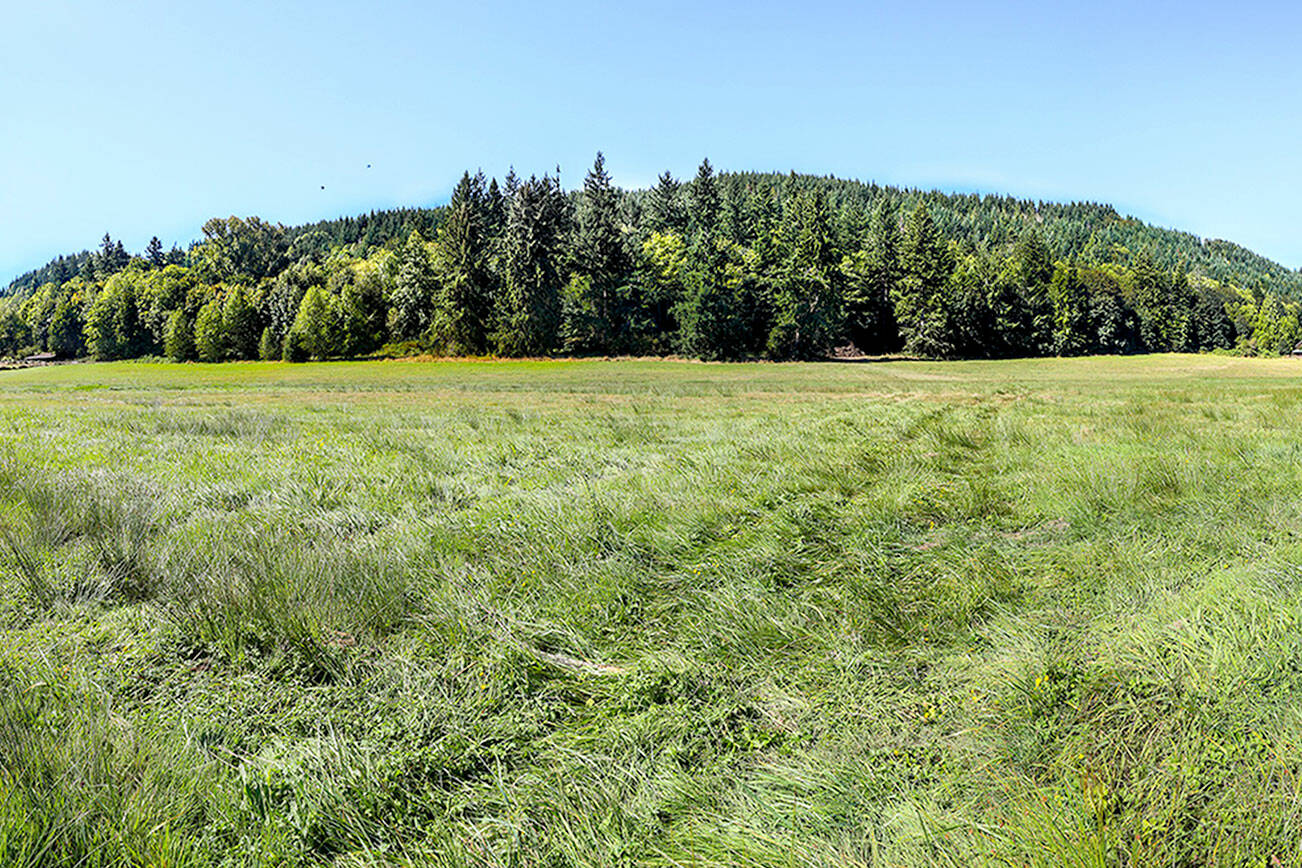 A view of Chimacum Ridge is seen from a Beaver Valley farm. (Robert Tognoli)
