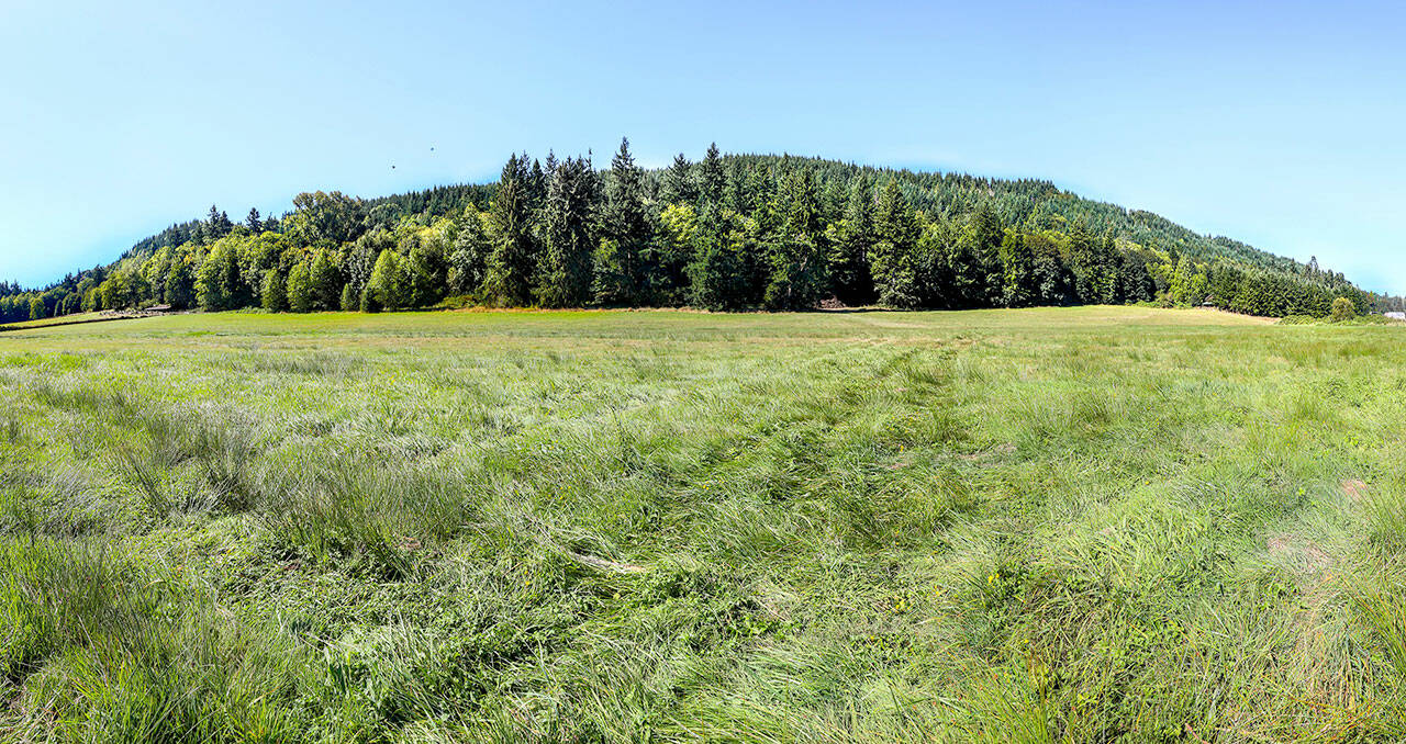 A view of Chimacum Ridge is seen from a Beaver Valley farm. (Robert Tognoli)