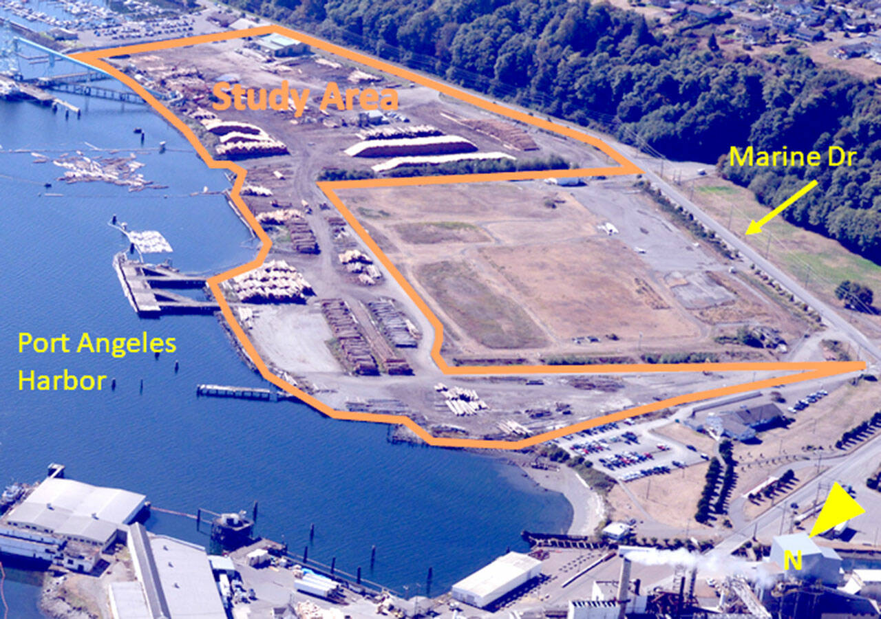 The study area is highlighted between Port Angeles Harbor and Marine Drive.