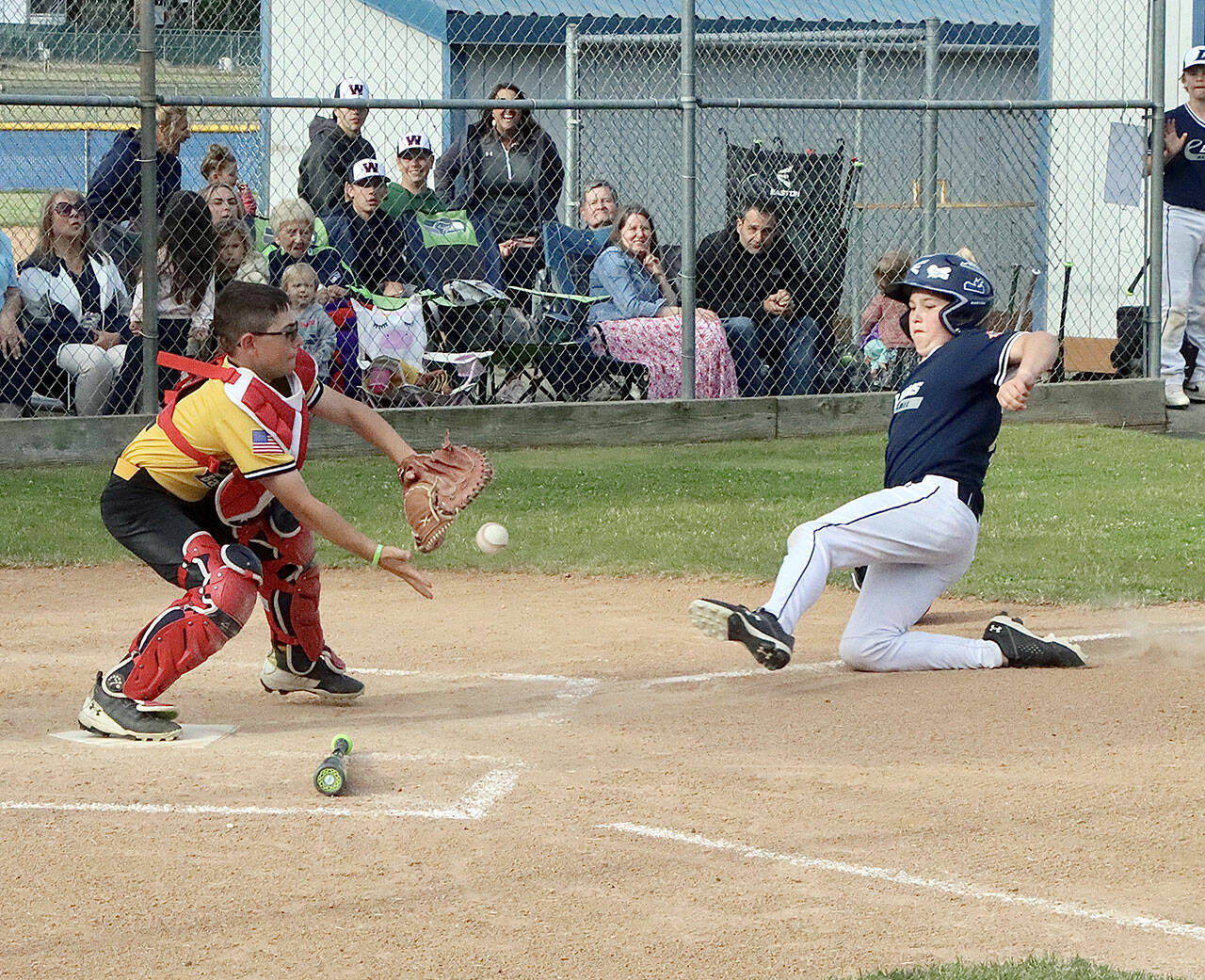 Elks catcher Kyler Williams prepares to make a tag on Lions’ baserunner Gavin Doyle trying to steal home in the Cal Ripken Majors championship game this weekend. Doyle was out at the plate and Elks went on to win 16-6. In addition to making this play, Williams batted 5-for-5 in the game. (Dave Logan/for Peninsula Daily News)